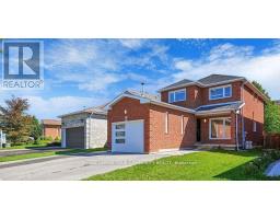 BASEMENT - 19 MOUNTBATTEN ROAD, Vaughan, Ontario