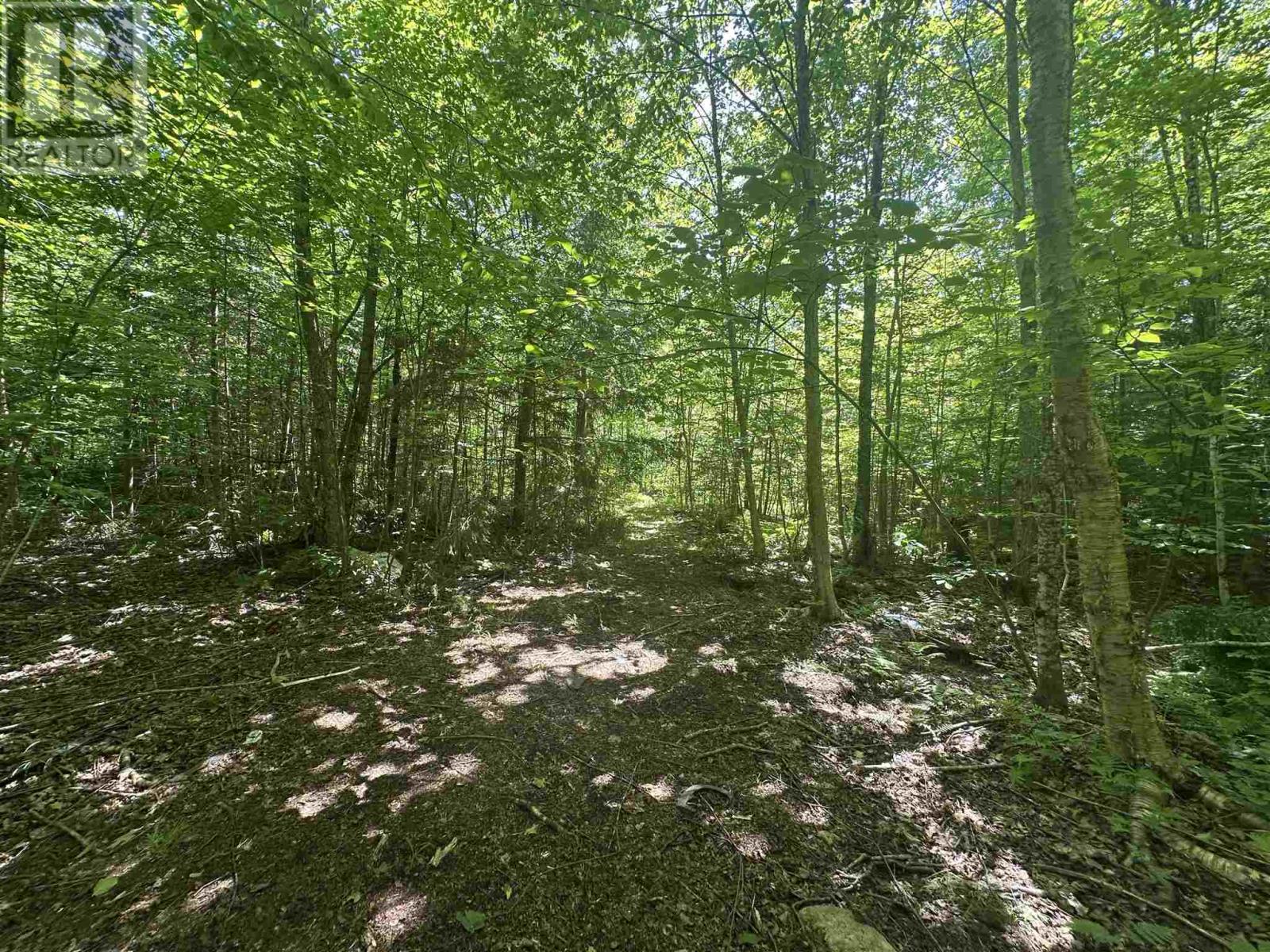 1288 Government Rd, Echo Bay, Ontario  P0S 1C0 - Photo 19 - SM251683