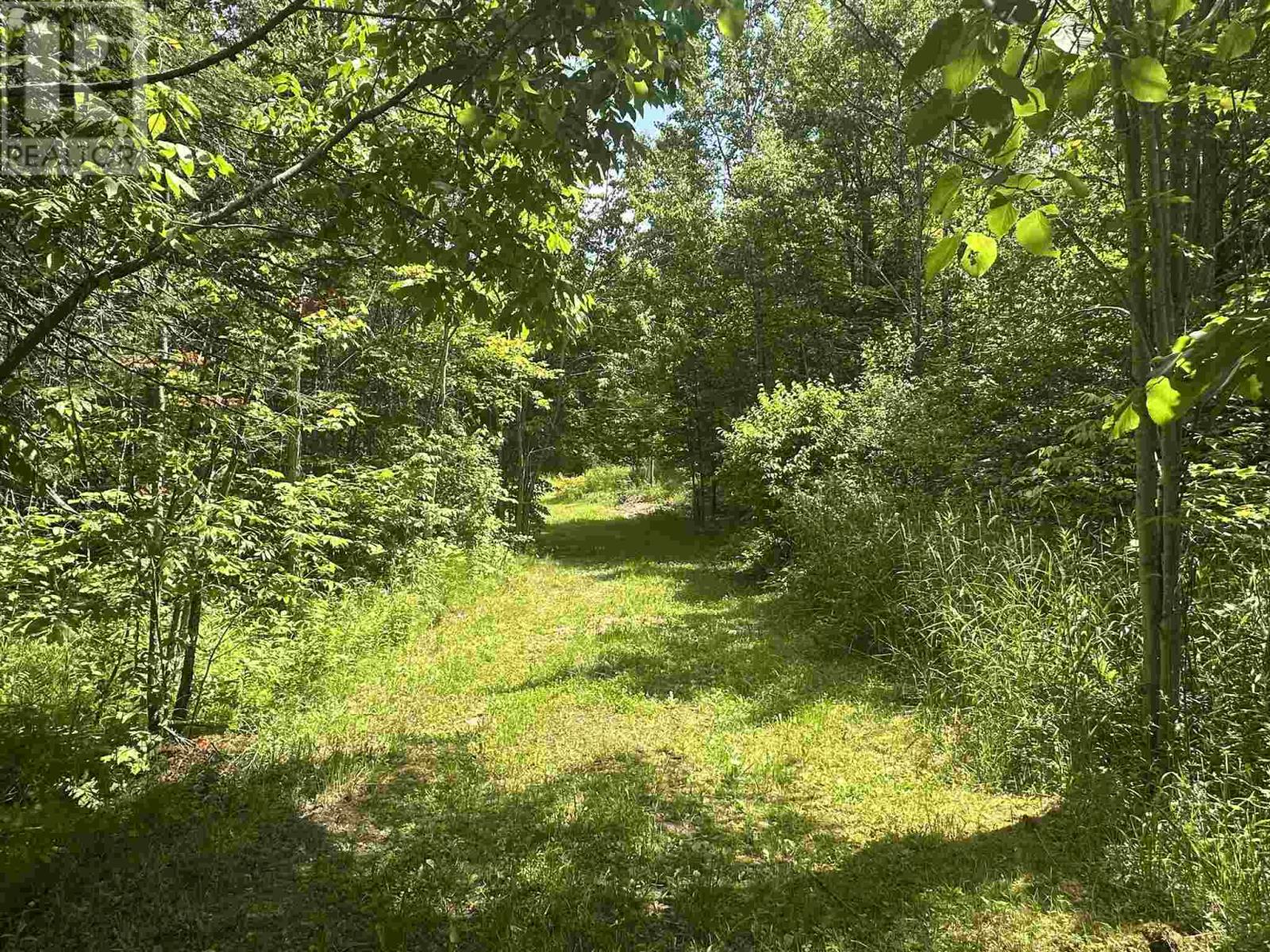 1288 Government Rd, Echo Bay, Ontario  P0S 1C0 - Photo 3 - SM251683