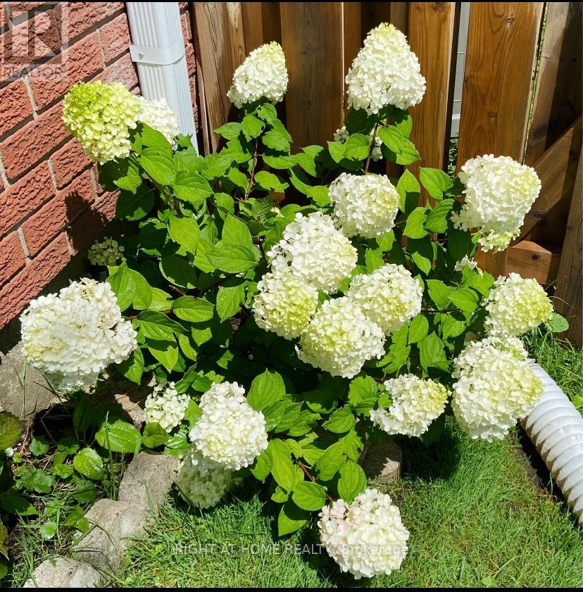 95 - 1474 Heatherington Road, Ottawa, Ontario  K1V 6S1 - Photo 4 - X12534580