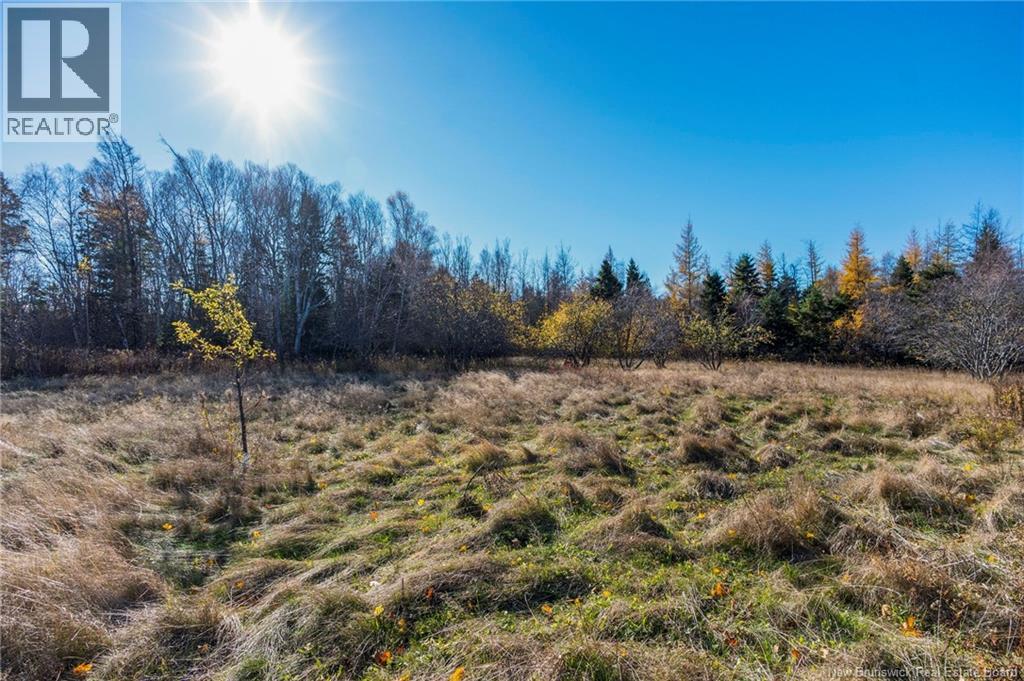 285 Immigrant Road, Cape Tormentine, New Brunswick  E4M 4A4 - Photo 37 - NB130031