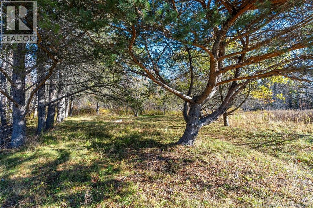 285 Immigrant Road, Cape Tormentine, New Brunswick  E4M 4A4 - Photo 39 - NB130031