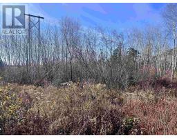 Lot No 3 Highway, Lydgate, Ca