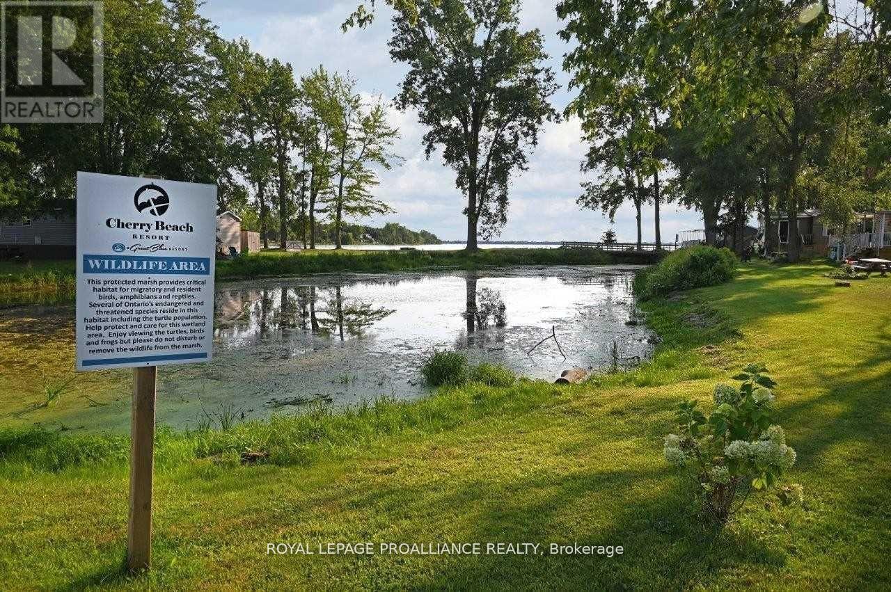 486 Cty Rd 18-12 Park Meadow Lane, Prince Edward County, Ontario K0K 1P0 - Photo 34 - X12536902