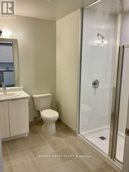 317 - 62 Sky Harbour Drive W, Brampton, Ontario  L6Y 6J2 - Photo 12 - W12536590