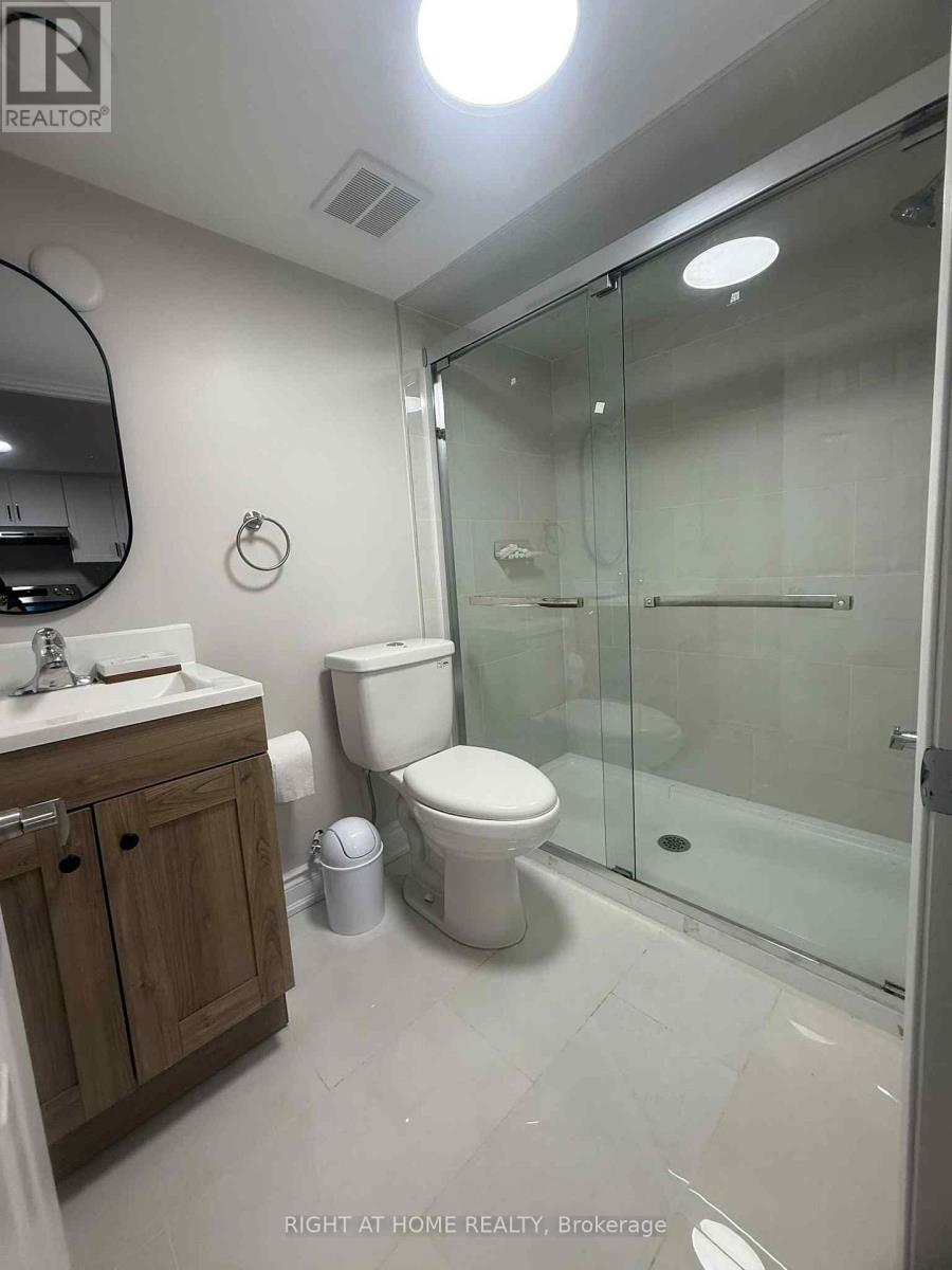 Basement - 5218 Palmetto Place, Mississauga, Ontario  L5M 0C8 - Photo 17 - W12536738