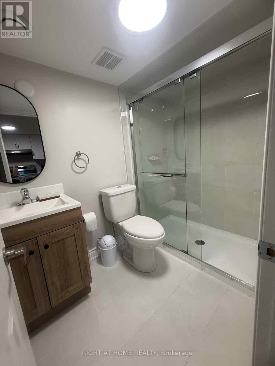 Basement - 5218 Palmetto Place, Mississauga, Ontario  L5M 0C8 - Photo 18 - W12536738