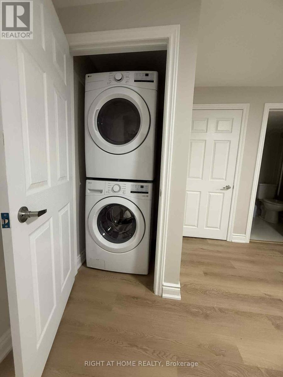 Basement - 5218 Palmetto Place, Mississauga, Ontario  L5M 0C8 - Photo 19 - W12536738