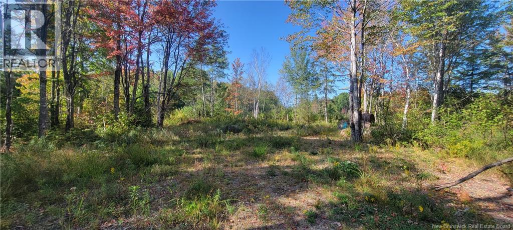 LOT Meadow Brook Road, Wirral, New Brunswick