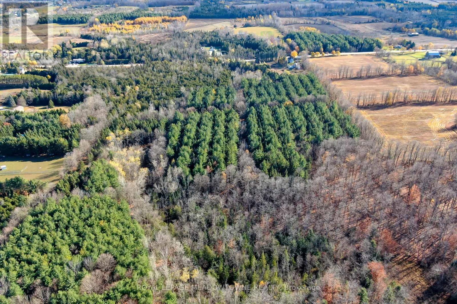 9328 Wellington  50 Road, Erin, Ontario  N0B 1T0 - Photo 11 - X12536606