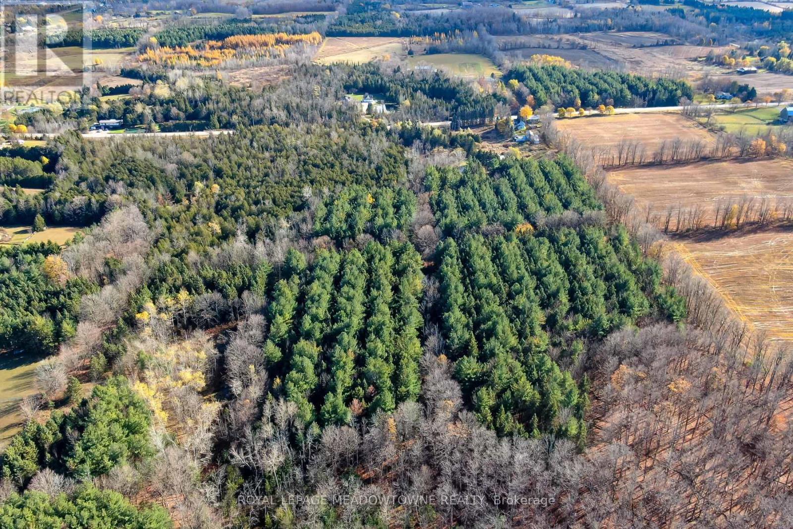 9328 Wellington  50 Road, Erin, Ontario  N0B 1T0 - Photo 12 - X12536606