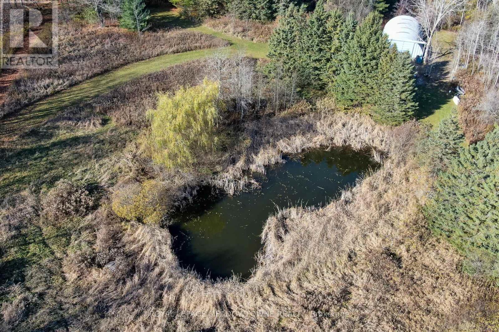 9328 Wellington  50 Road, Erin, Ontario  N0B 1T0 - Photo 20 - X12536606