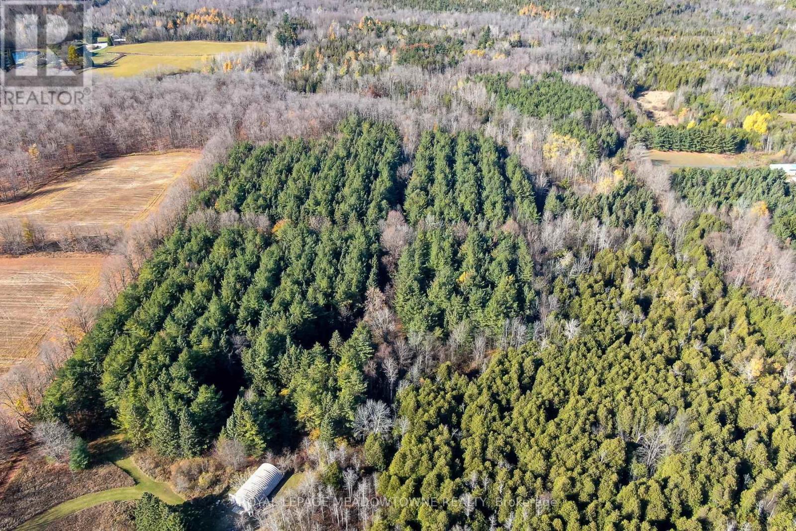 9328 Wellington  50 Road, Erin, Ontario  N0B 1T0 - Photo 5 - X12536606