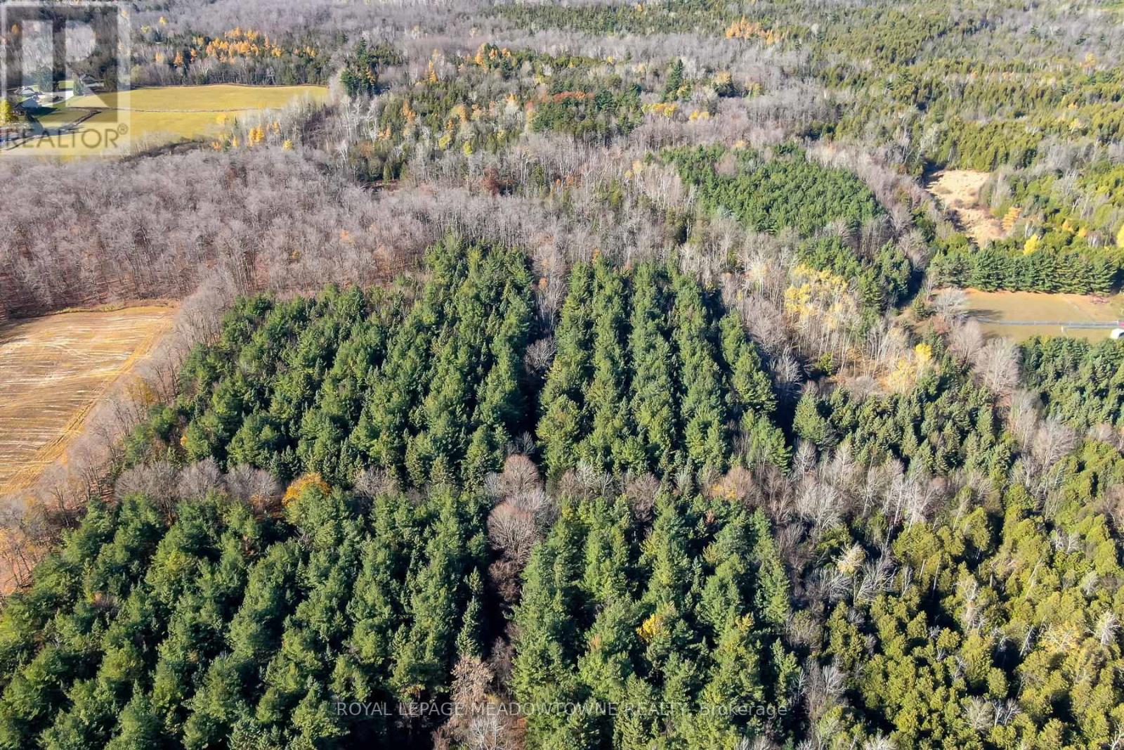 9328 Wellington  50 Road, Erin, Ontario  N0B 1T0 - Photo 6 - X12536606