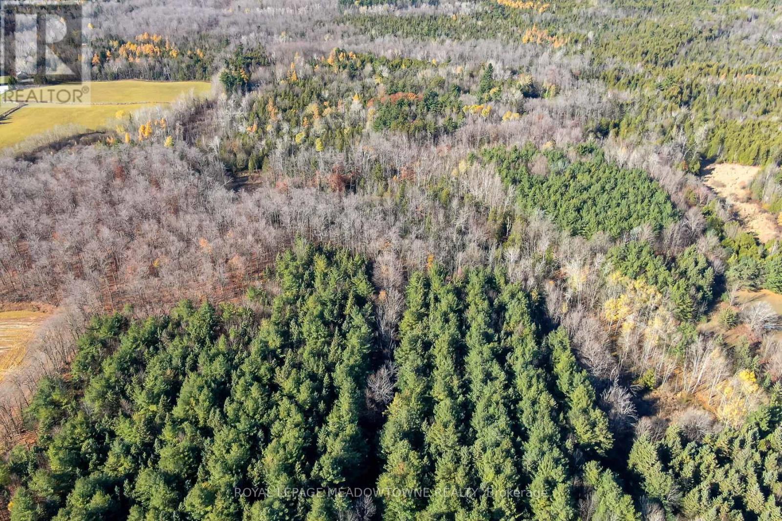 9328 Wellington  50 Road, Erin, Ontario  N0B 1T0 - Photo 7 - X12536606