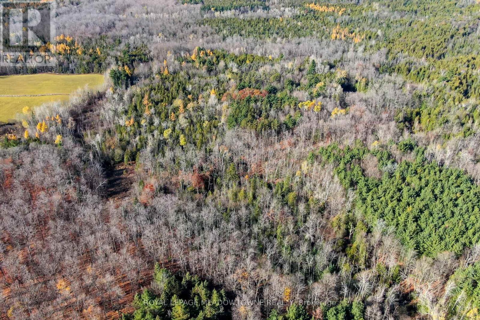 9328 Wellington  50 Road, Erin, Ontario  N0B 1T0 - Photo 8 - X12536606