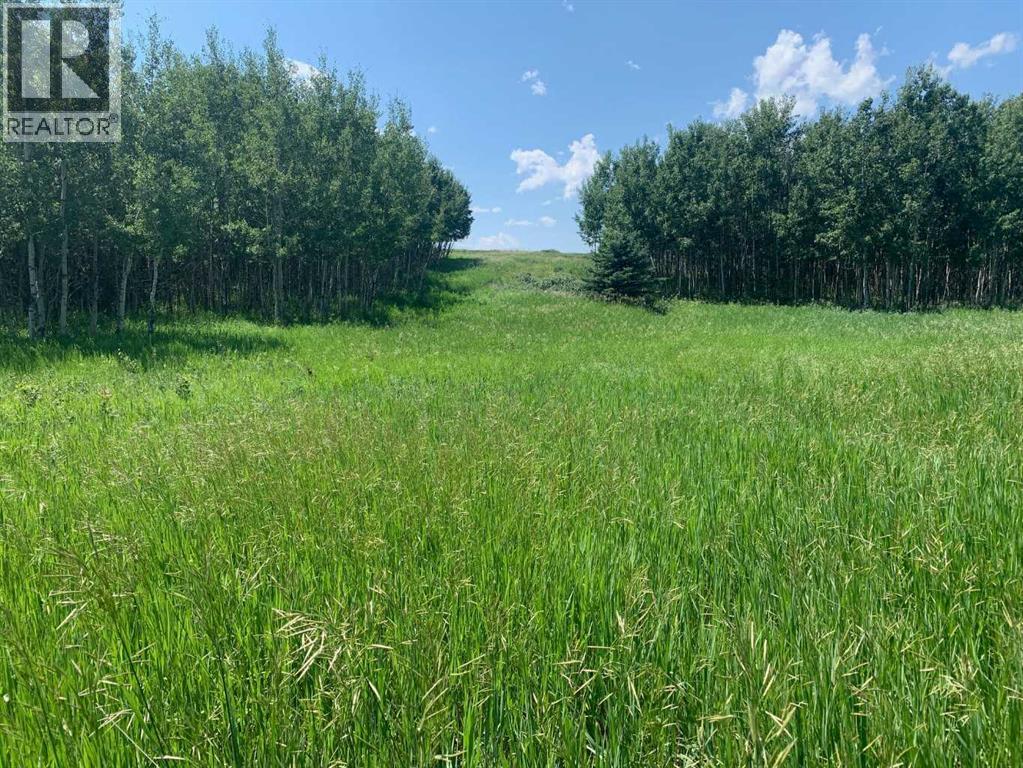 75.50 Acres North Springbank  5;3;25;28;se, Rural Rocky View County, Alberta  T3Z 3M2 - Photo 5 - A2268464