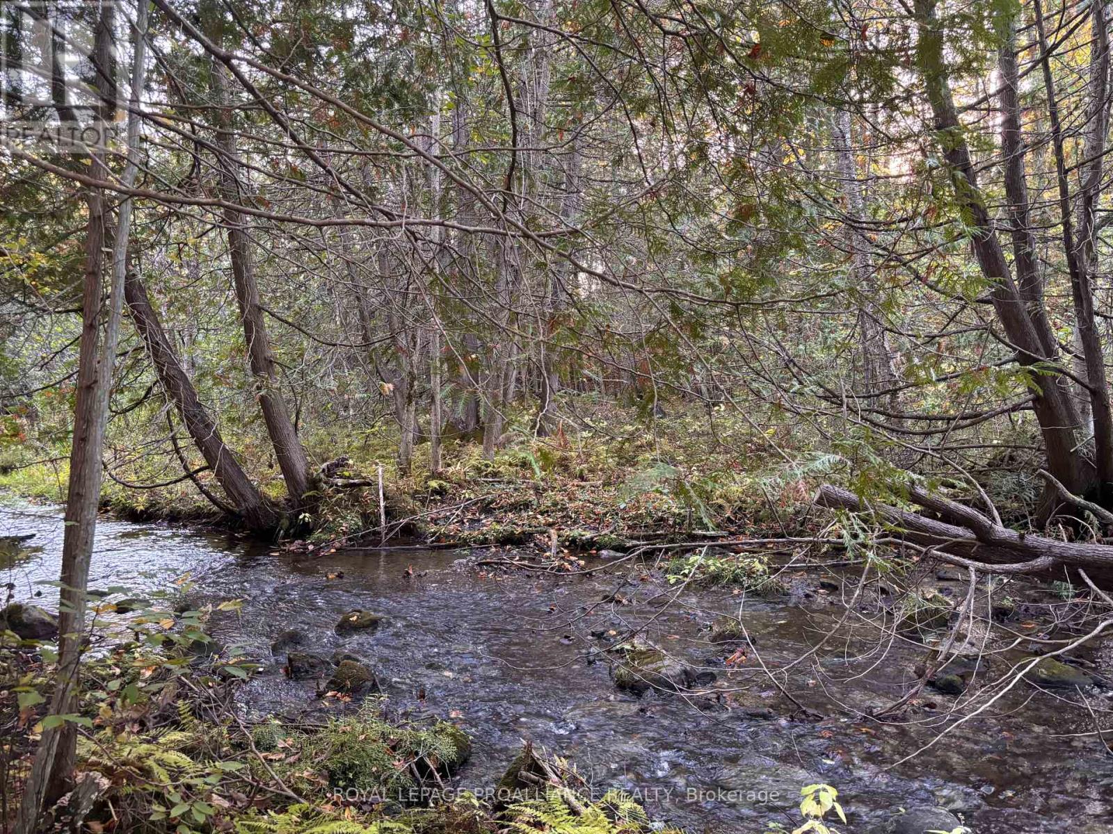 Pt Lt 29-30 Naphan Road, Tyendinaga, Ontario  K0K 2Y0 - Photo 4 - X12204307