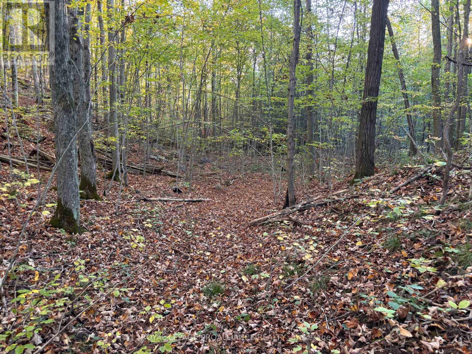 PT LT 29-30 NAPHAN ROAD, Tyendinaga, Ontario