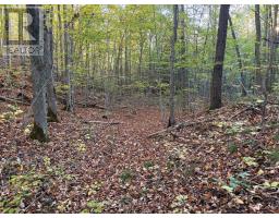 PT LT 29-30 NAPHAN ROAD, Tyendinaga, Ontario