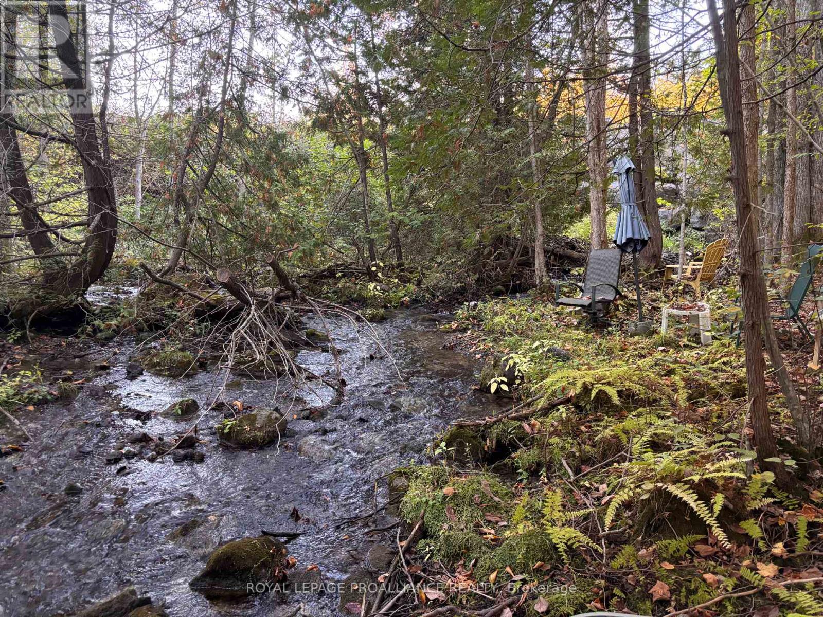 Pt Lt 29-30 Naphan Road, Tyendinaga, Ontario  K0K 2Y0 - Photo 2 - X12204307