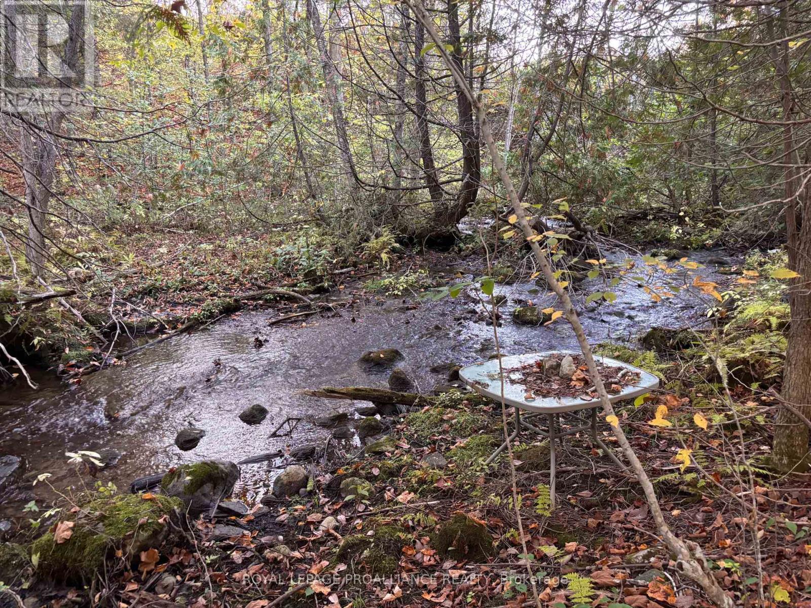 Pt Lt 29-30 Naphan Road, Tyendinaga, Ontario  K0K 2Y0 - Photo 3 - X12204307