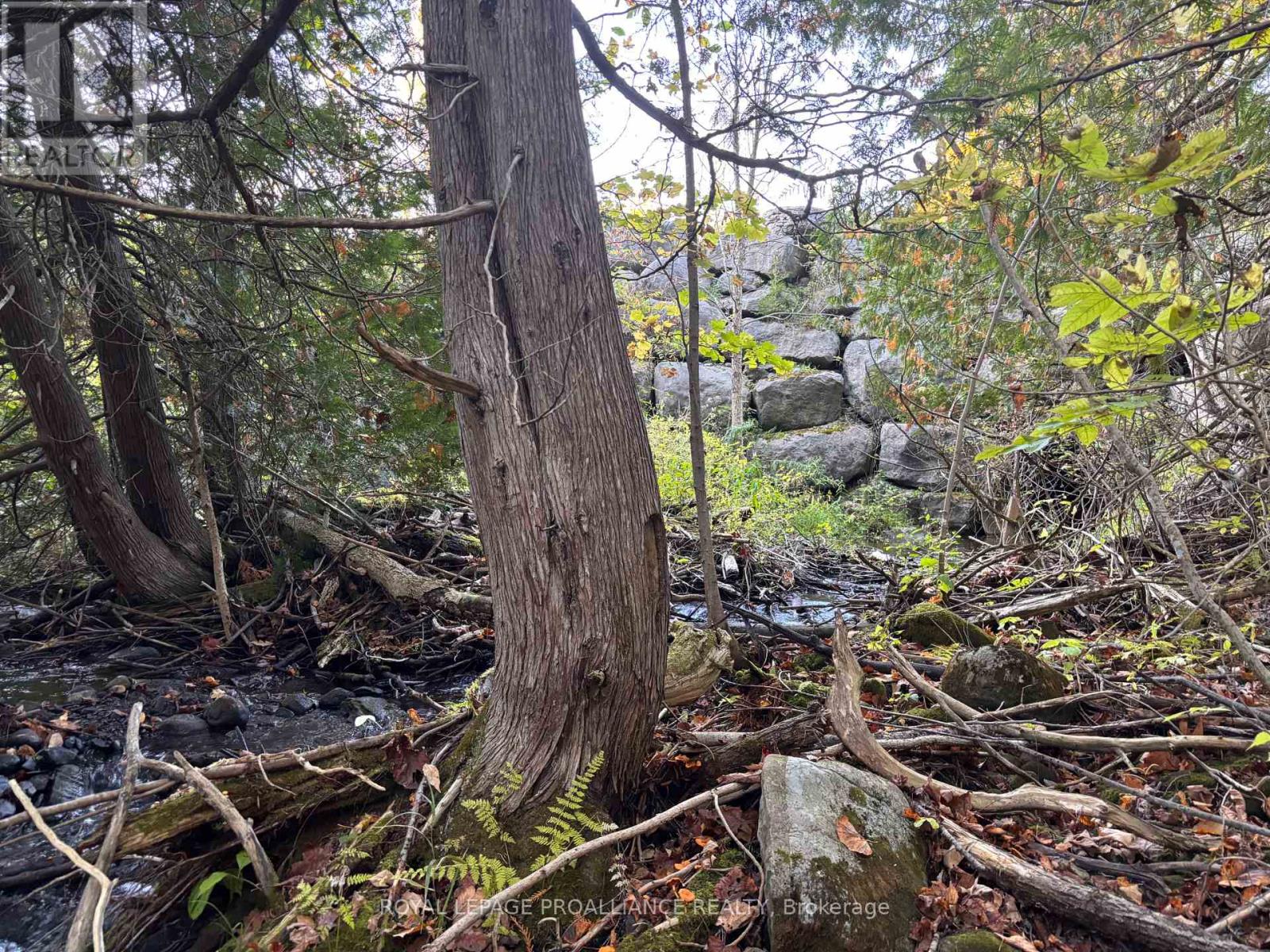 Pt Lt 29-30 Naphan Road, Tyendinaga, Ontario  K0K 2Y0 - Photo 8 - X12204307