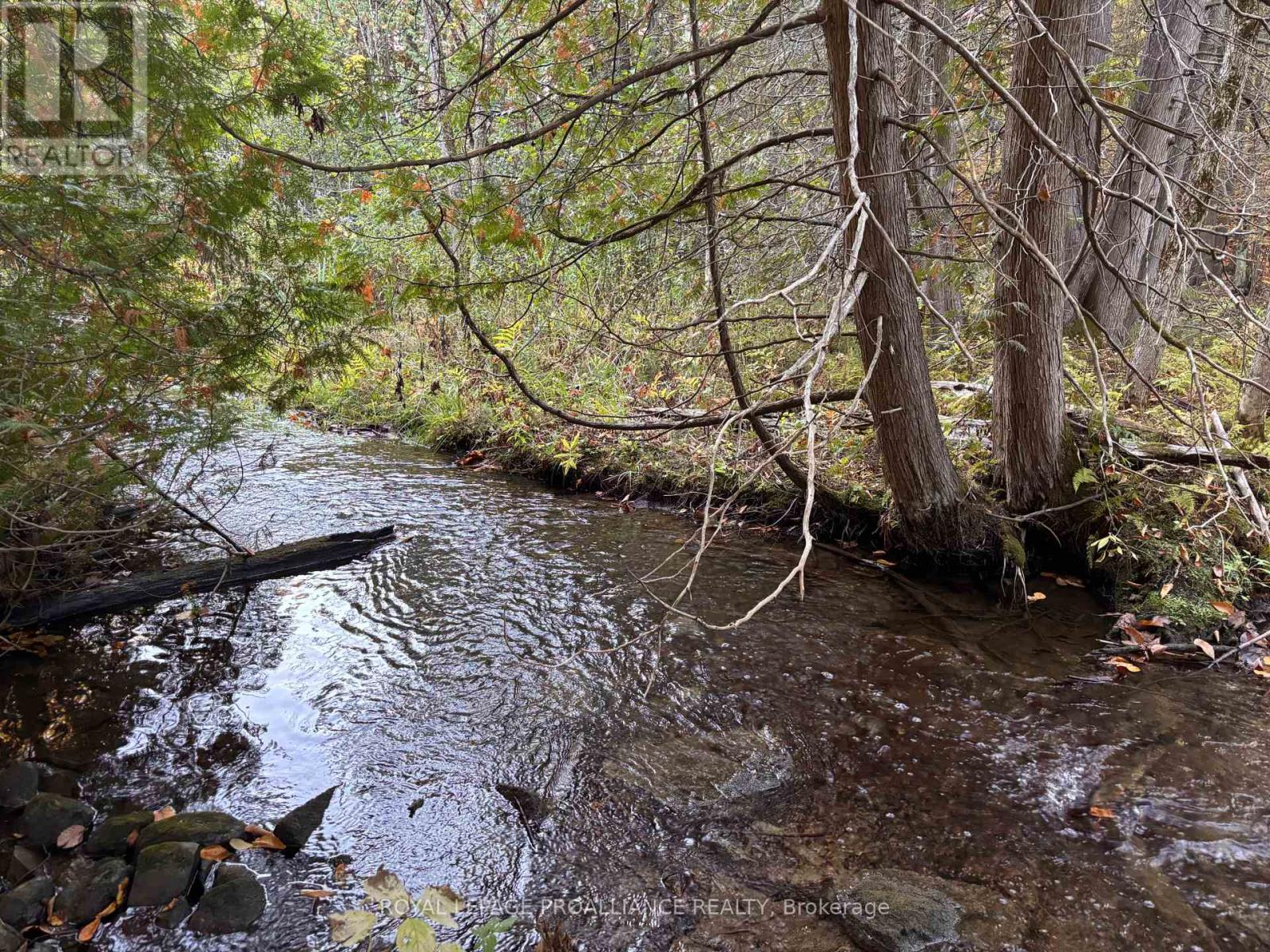 Pt Lt 29-30 Naphan Road, Tyendinaga, Ontario  K0K 2Y0 - Photo 6 - X12204307