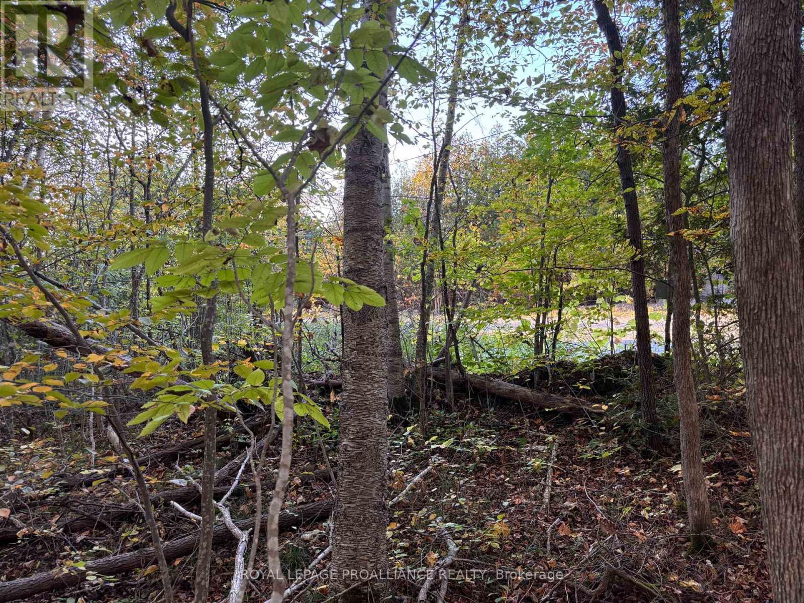 Pt Lt 29-30 Naphan Road, Tyendinaga, Ontario  K0K 2Y0 - Photo 9 - X12204307