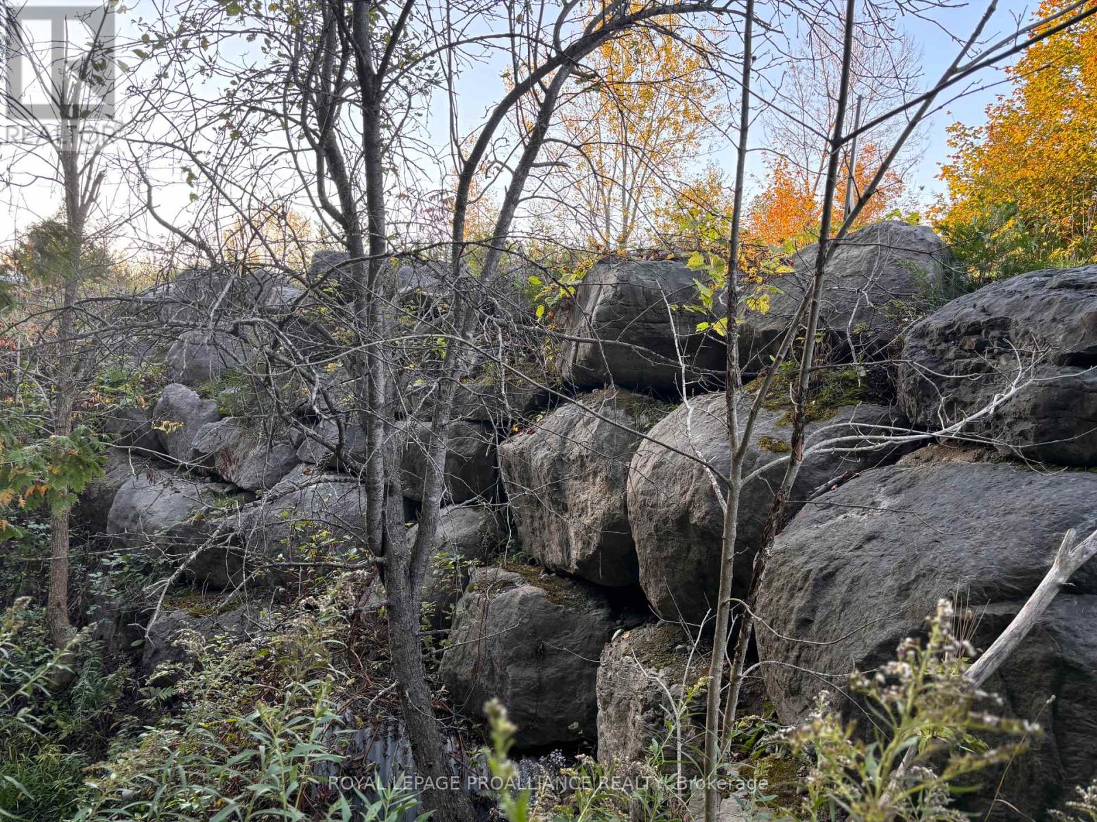 Pt Lt 29-30 Naphan Road, Tyendinaga, Ontario  K0K 2Y0 - Photo 7 - X12204307