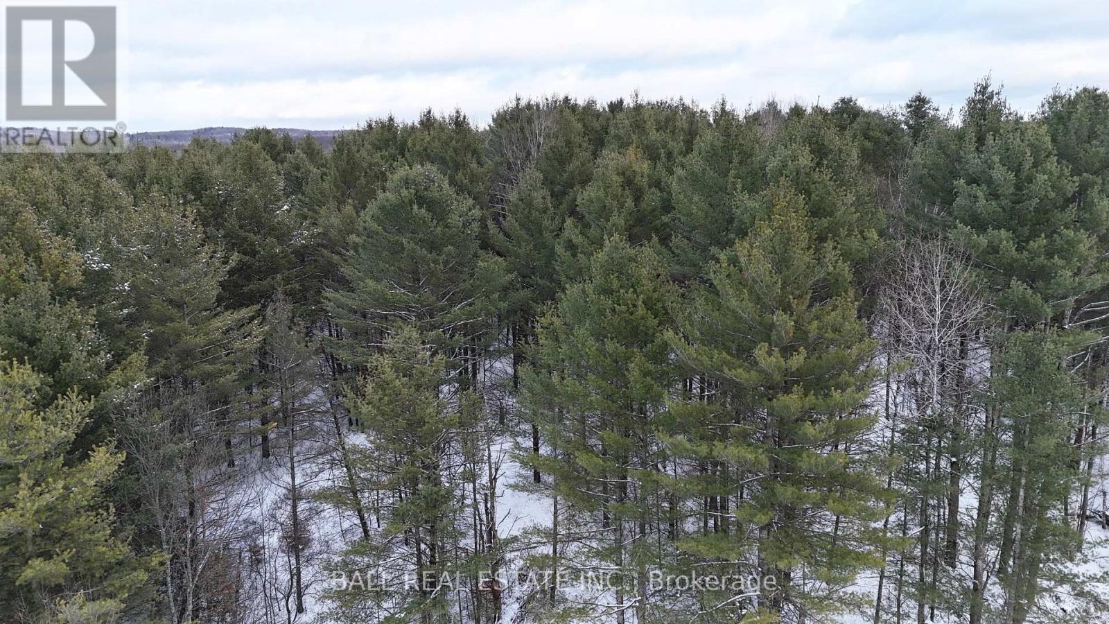 0 Highway 62 S, Bancroft, Ontario  K0L 1C0 - Photo 3 - X12537160