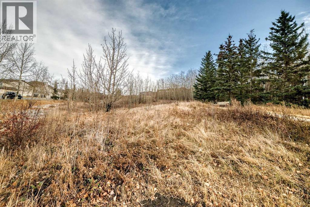 115, 1000 Citadel Meadow Point Nw, Calgary, Alberta  T3G 5N5 - Photo 27 - A2270283