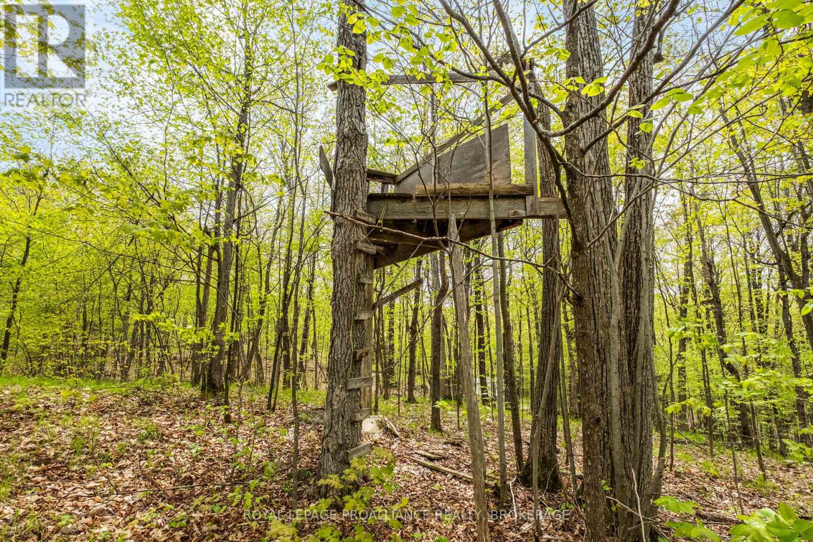 Lt 16 Warrington Lane, Frontenac, Ontario  K0H 2P0 - Photo 18 - X12537364