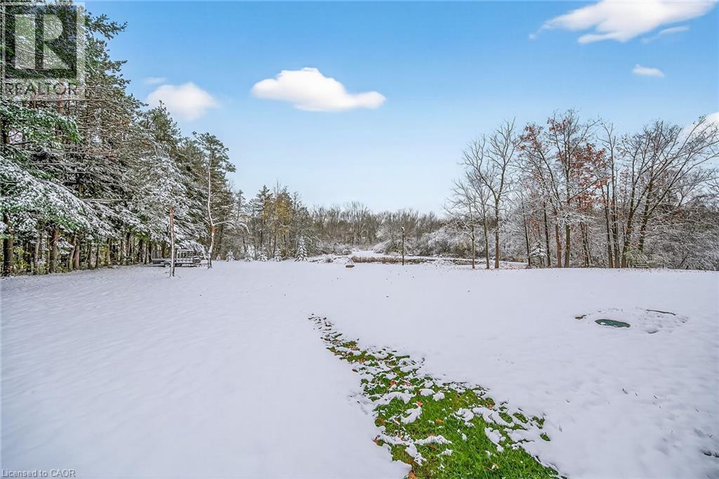 1703 #3 Highway W, Jarvis, Ontario N0A 1J0 - Photo 49 - 40778254