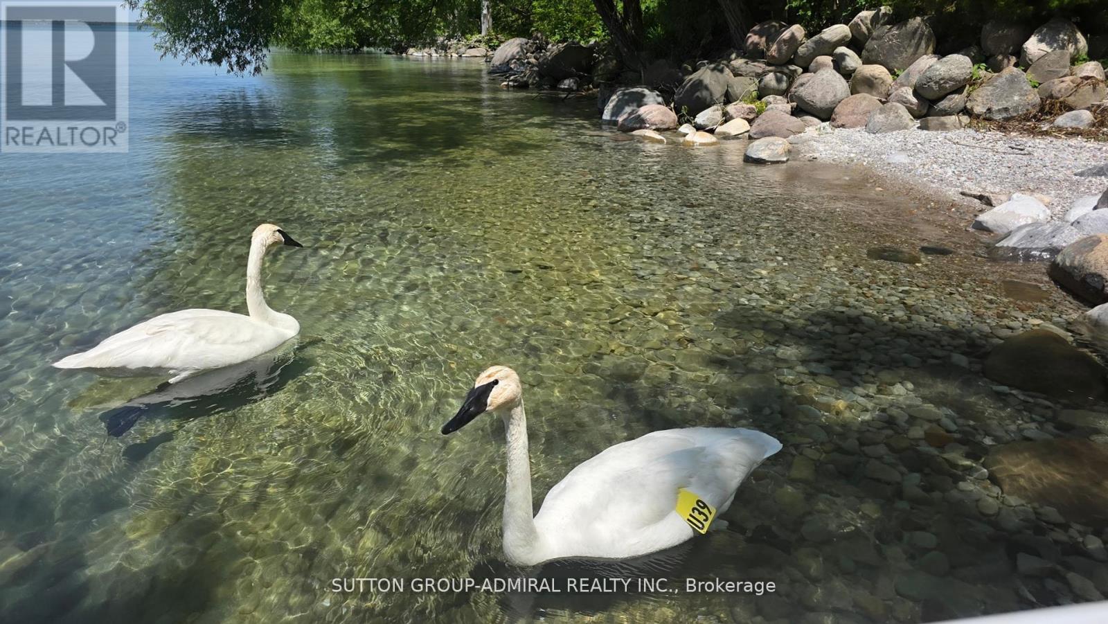 2232 Lakeshore Drive, Ramara, Ontario  L0K 1B0 - Photo 48 - S12537282