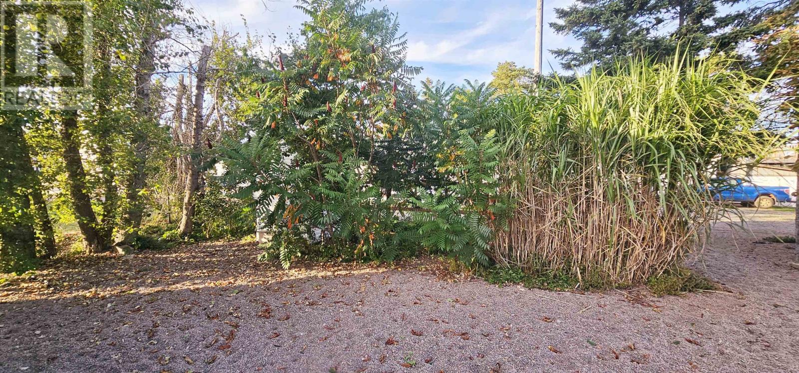 197 Main Street, Mount Stewart, Prince Edward Island  C0A 1T0 - Photo 27 - 202524845