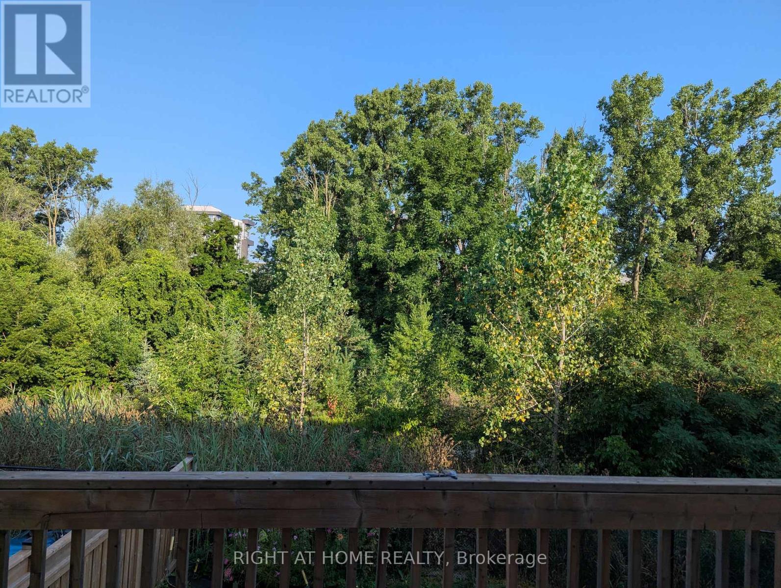 247 Humphrey Street, Hamilton, Ontario  L8B 1X4 - Photo 36 - X12537258