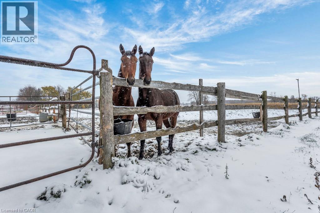 785183 Oxford Rd 33, Woodstock, Ontario  N4S 7W1 - Photo 4 - 40786965