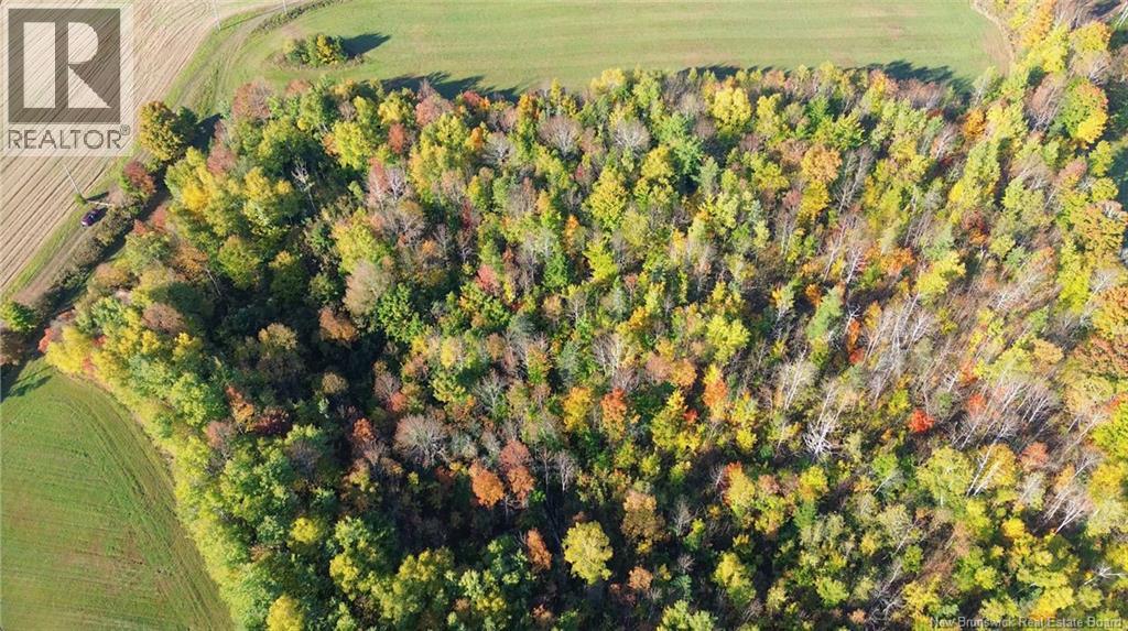 1115 560 Route, Jacksontown, New Brunswick  E7M 3L5 - Photo 14 - NB130044