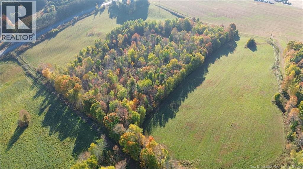 1115 560 Route, Jacksontown, New Brunswick  E7M 3L5 - Photo 17 - NB130044