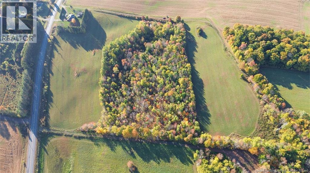 1115 560 Route, Jacksontown, New Brunswick  E7M 3L5 - Photo 6 - NB130044