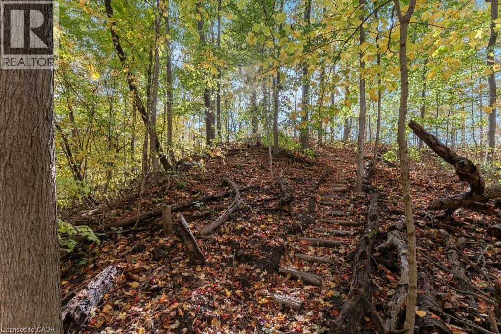 3169 King Street, Vineland, Ontario  L0R 2C0 - Photo 49 - 40787487