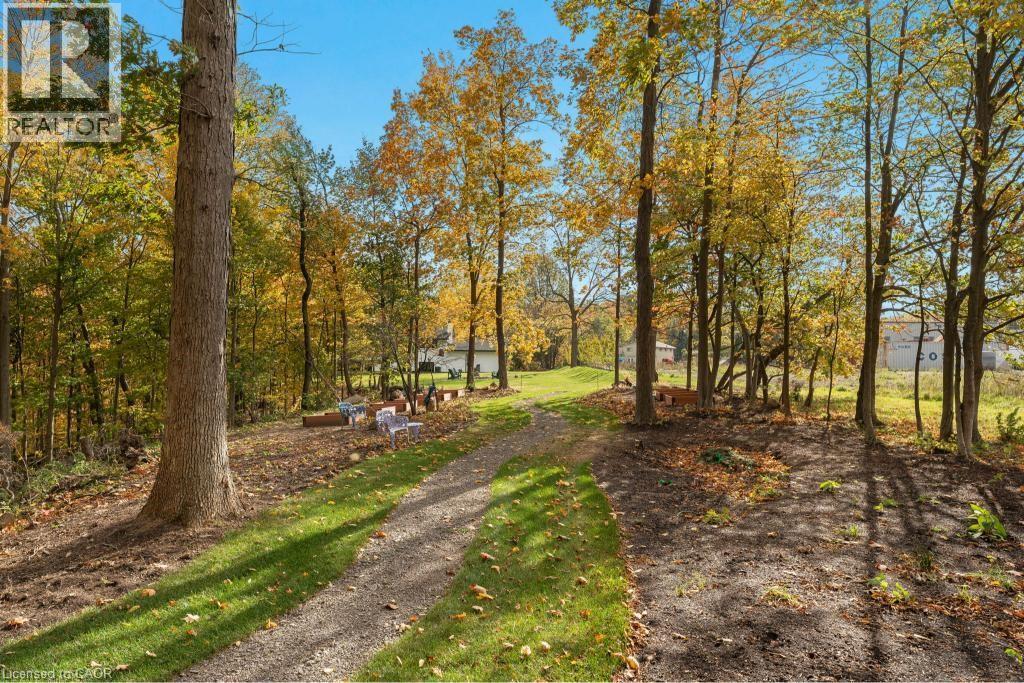 3169 King Street, Vineland, Ontario  L0R 2C0 - Photo 9 - 40787487