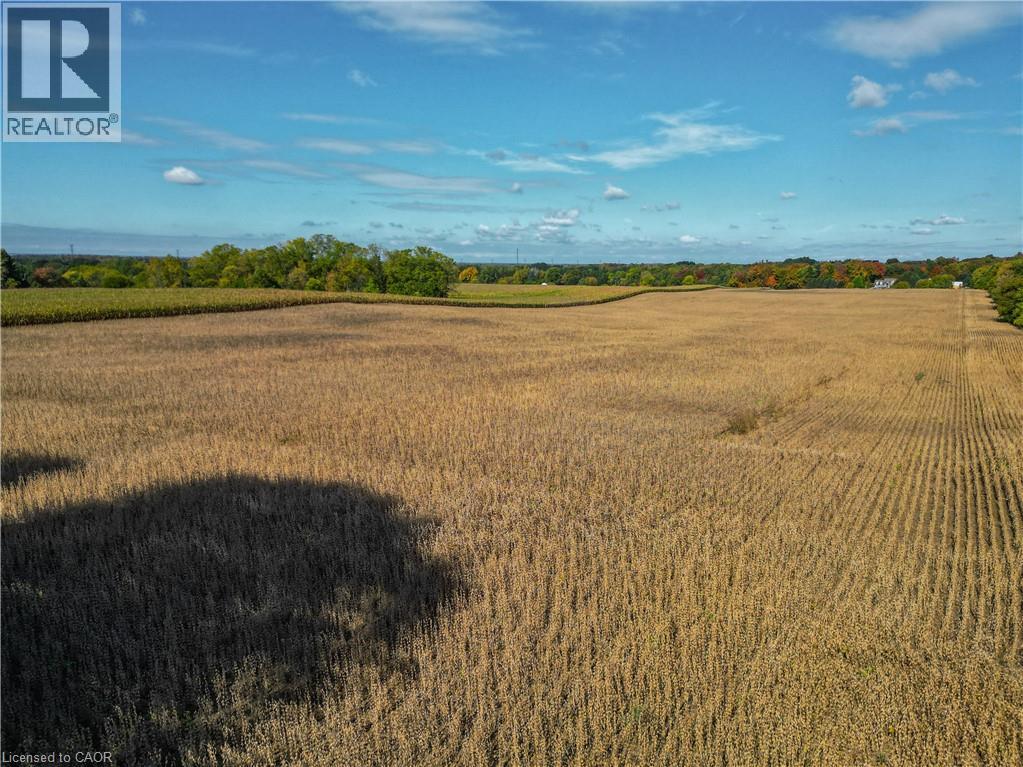 Pt Lt 31 Mineral Springs Road, Ancaster, Ontario L0R 1T0 - Photo 2 - 40778762