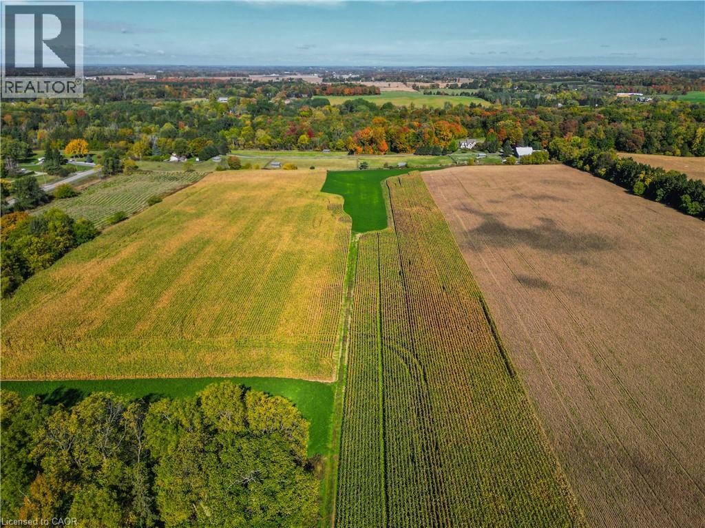 Pt Lt 31 Mineral Springs Road, Ancaster, Ontario L0R 1T0 - Photo 7 - 40779761