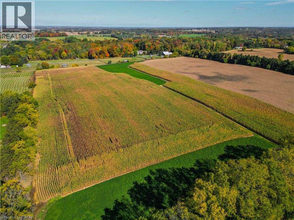 Pt Lt 31 Mineral Springs Road, Ancaster, Ontario L0R 1T0 - Photo 6 - 40779761