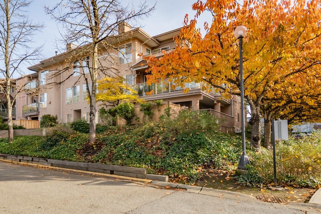 209 14993 101a Avenue, Surrey, British Columbia  V3R 0T1 - Photo 34 - R3066038