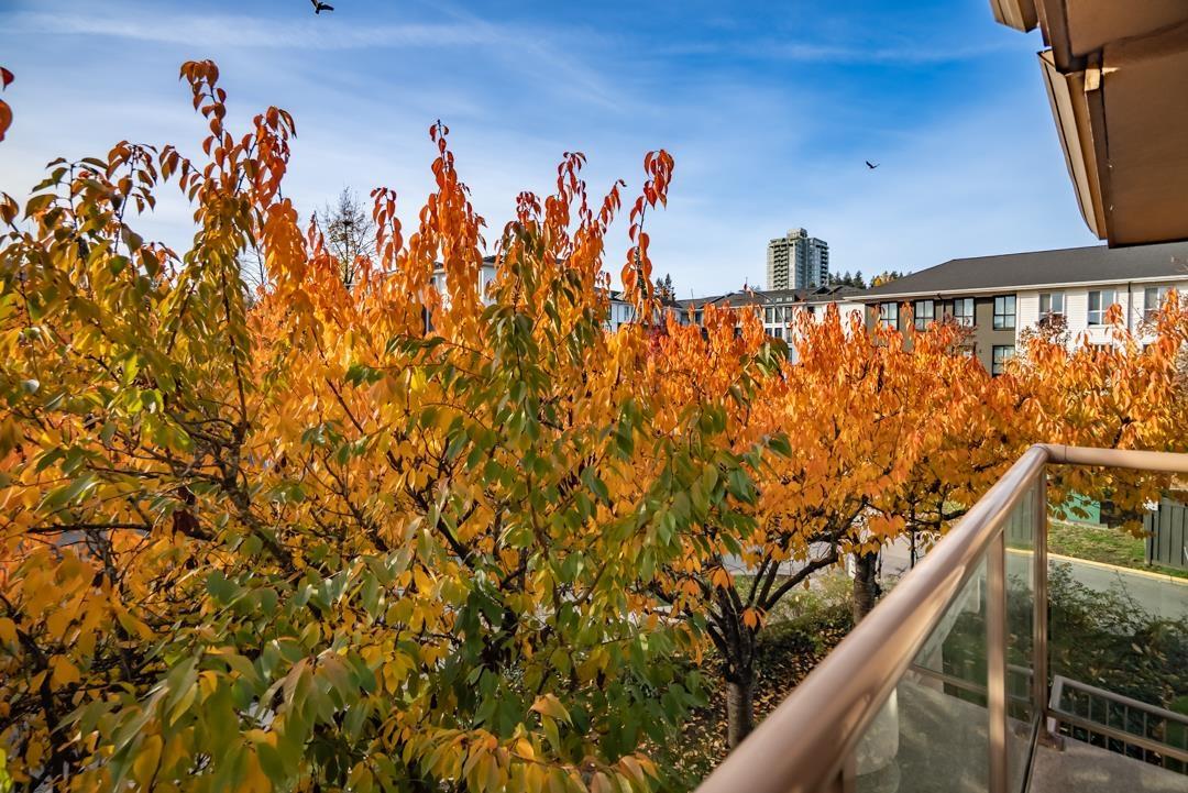 209 14993 101a Avenue, Surrey, British Columbia  V3R 0T1 - Photo 29 - R3066038