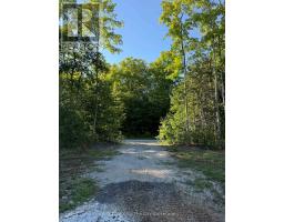 909 17 CONCESSION, Tiny, Ontario