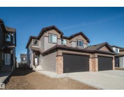 20 Blackbird BN South Fort